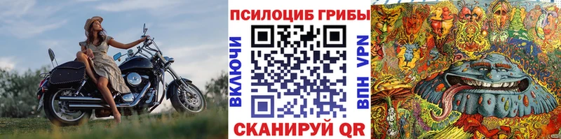 Псилоцибиновые грибы ЛСД  как найти   Боготол 